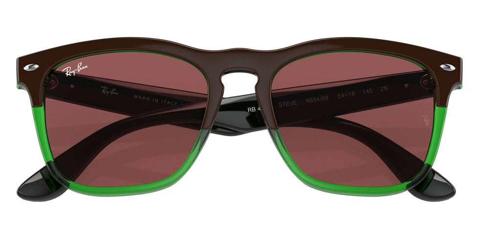 Ray-Ban RB4487 Steve 663469 54 - Dark Brown on Transparent Green / Dark Violet #id:rb4487663469_s:100125