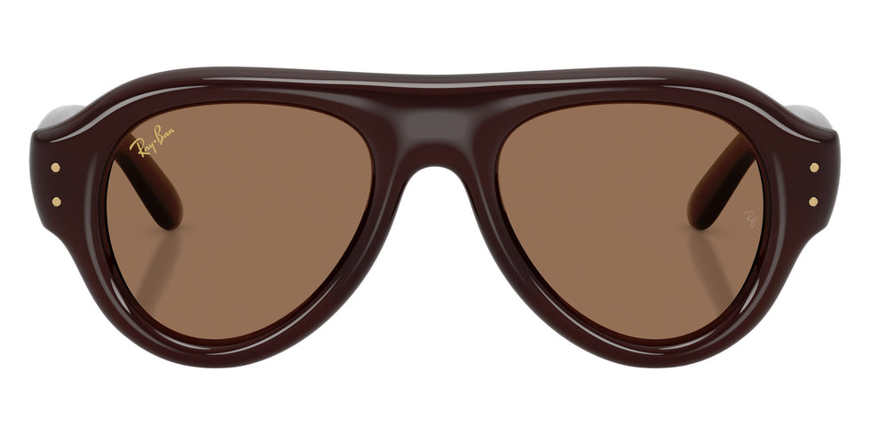 Ray-Ban RB4925 Aviator Puffer 689673 50 - Transparent Dark Brown / Dark Brown #id:rb4925689673_s:100100