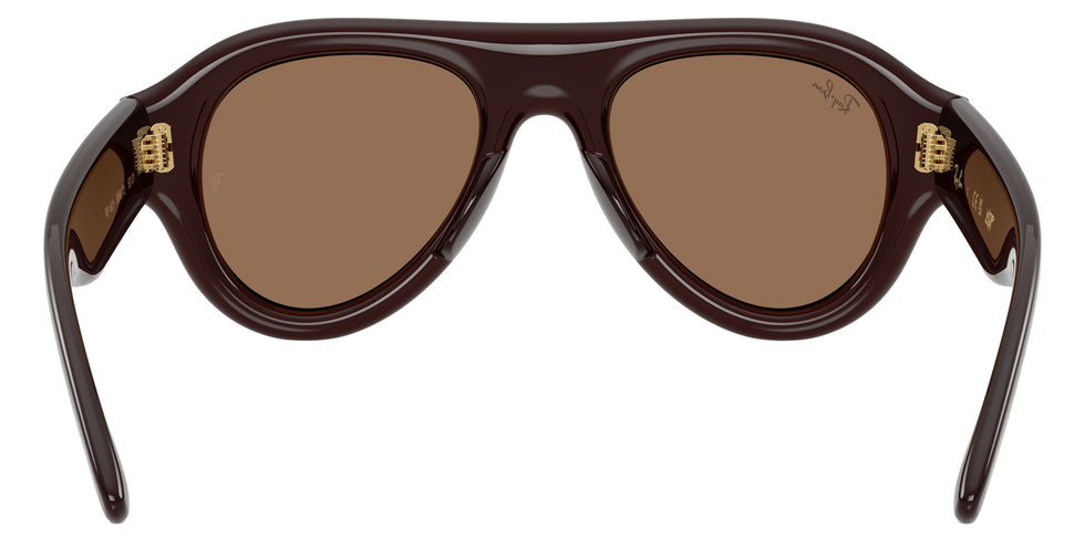 Ray-Ban RB4925 Aviator Puffer 689673 50 - Transparent Dark Brown / Dark Brown #id:rb4925689673_s:100115