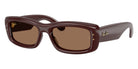 Ray-Ban RB4944 Kiliane Puffer 687773 55 - Transparent Dark Brown / Dark Brown #id:rb4944687773_s:104105