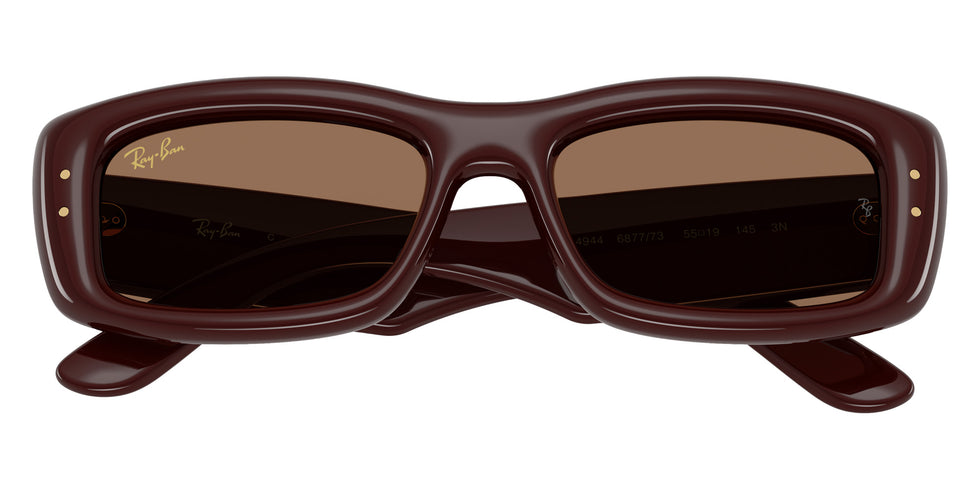 Ray-Ban RB4944 Kiliane Puffer 687773 55 - Transparent Dark Brown / Dark Brown #id:rb4944687773_s:104125