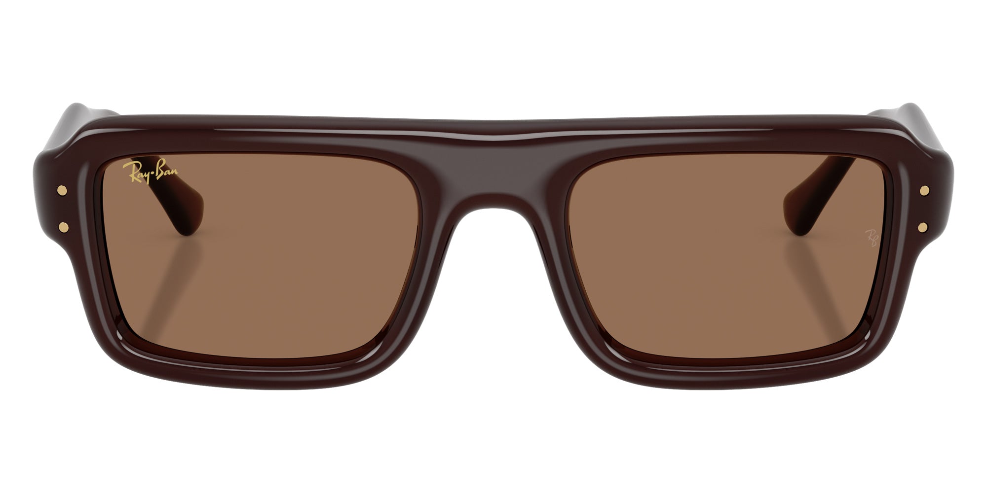 Ray-Ban RB4954 Flacko Puffer 689673 52 - Transparent Dark Brown / Dark Brown #id:rb4954689673_s:114100
