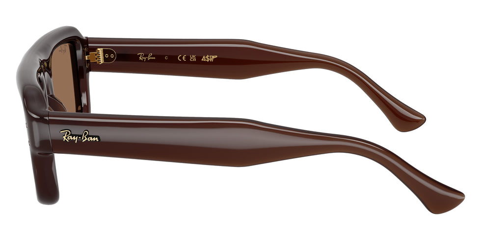 Ray-Ban RB4954 Flacko Puffer 689673 52 - Transparent Dark Brown / Dark Brown #id:rb4954689673_s:114110