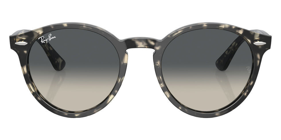 Ray-Ban RB7680S Larry 133371 49 - Gray Havana / Gray #id:rb7680s133371_s:100100
