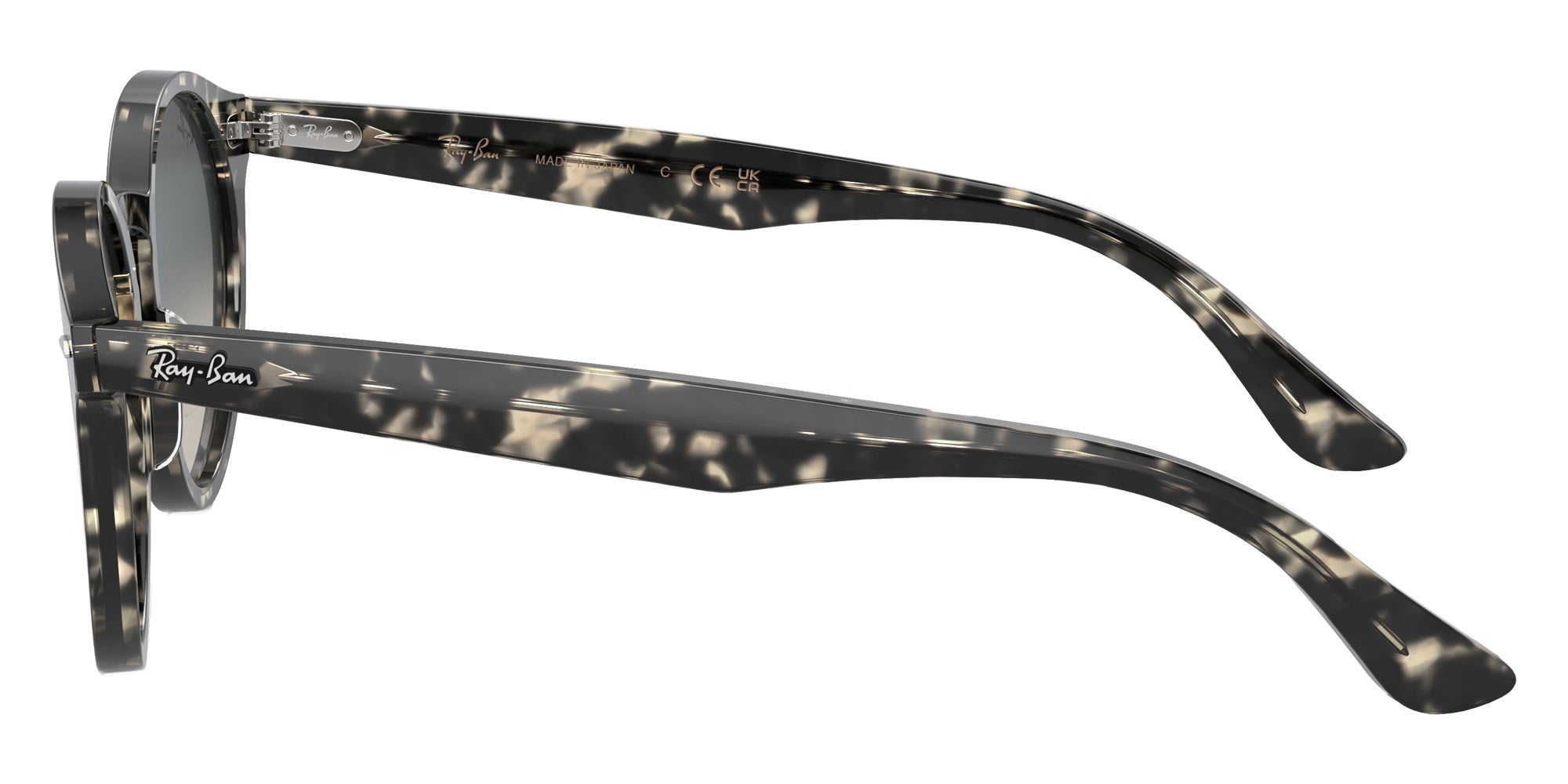 Ray-Ban RB7680S Larry 133371 49 - Gray Havana / Gray #id:rb7680s133371_s:100110