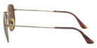 Ray-Ban RB8148 Hexagonal Titanium 920757 51 - Gold #id:rb8148920757_s:100110