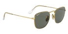 Ray-Ban RB8157 Frank Titanium 921658 48 - Gold / G-15 Green Polarized #id:rb8157921658_s:100120
