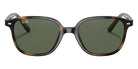 Ray-Ban RB9093S Leonard 152/71 45 - Havana / Dark Green #id:rj9093s15271_s:100100