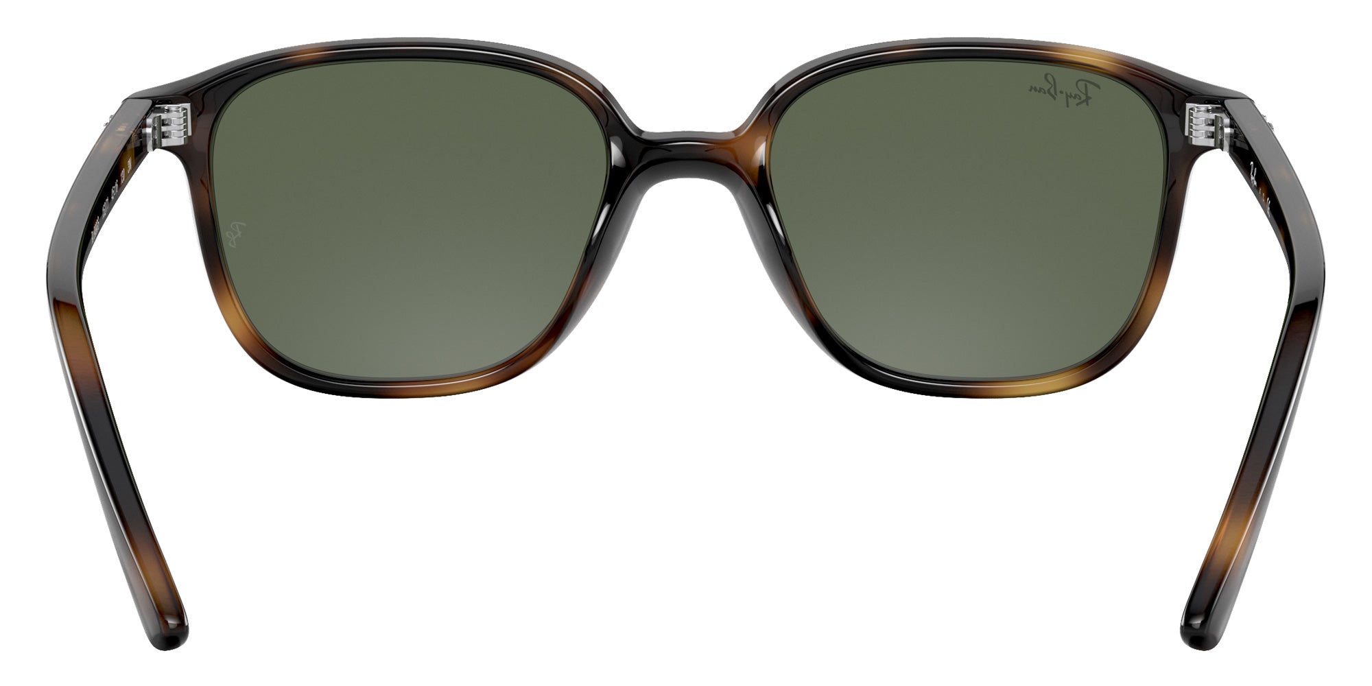 Ray-Ban RB9093S Leonard 152/71 45 - Havana / Dark Green #id:rj9093s15271_s:100115