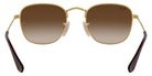 Ray-Ban RB9557S Frank 223/13 46 - Arista Gold / Brown Gradient #id:rj9557s22313_s:102115