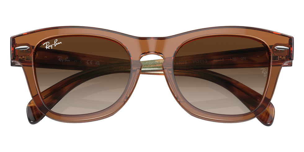 Ray-Ban RB9707S 712713 44 - Transparent Brown / Brown #id:rj9707s712713_s:100120