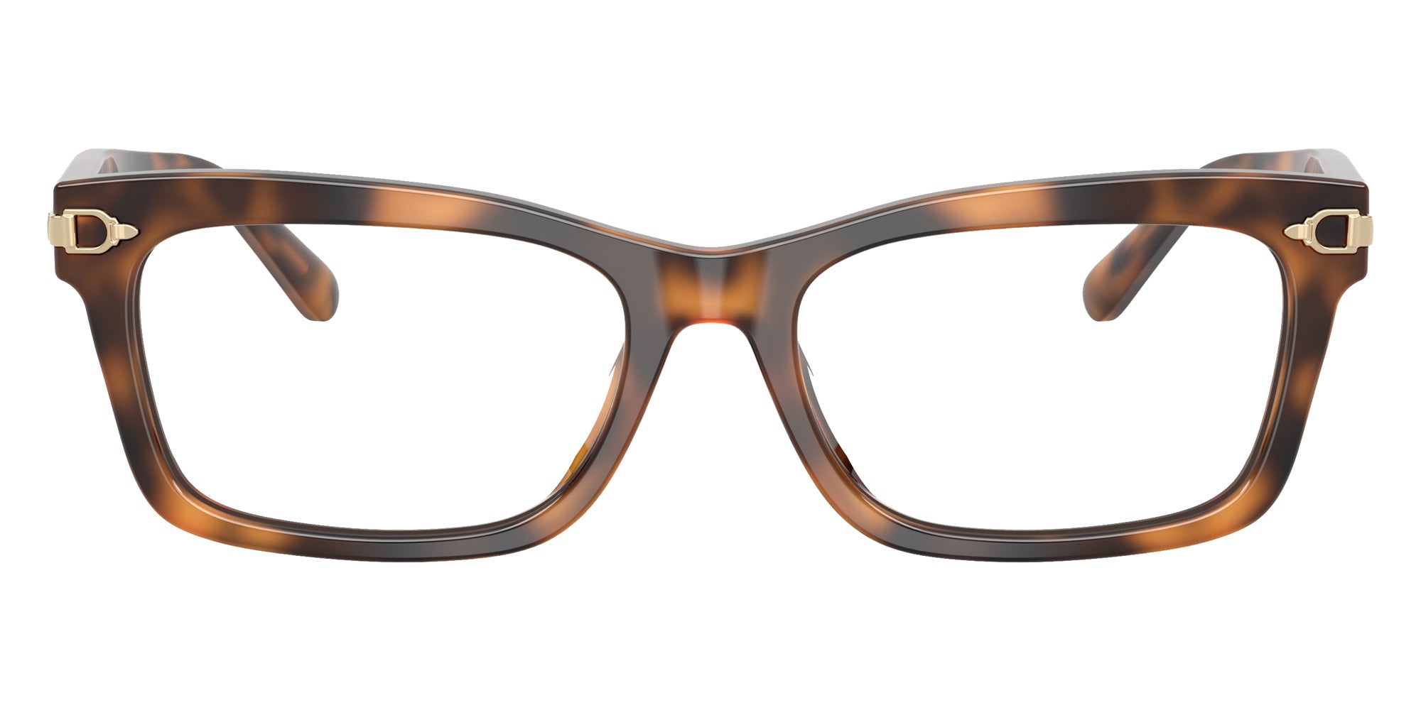 RALPH LAUREN RL6255U 6089 53 - Havana #id:rl6255u6089_s:100100