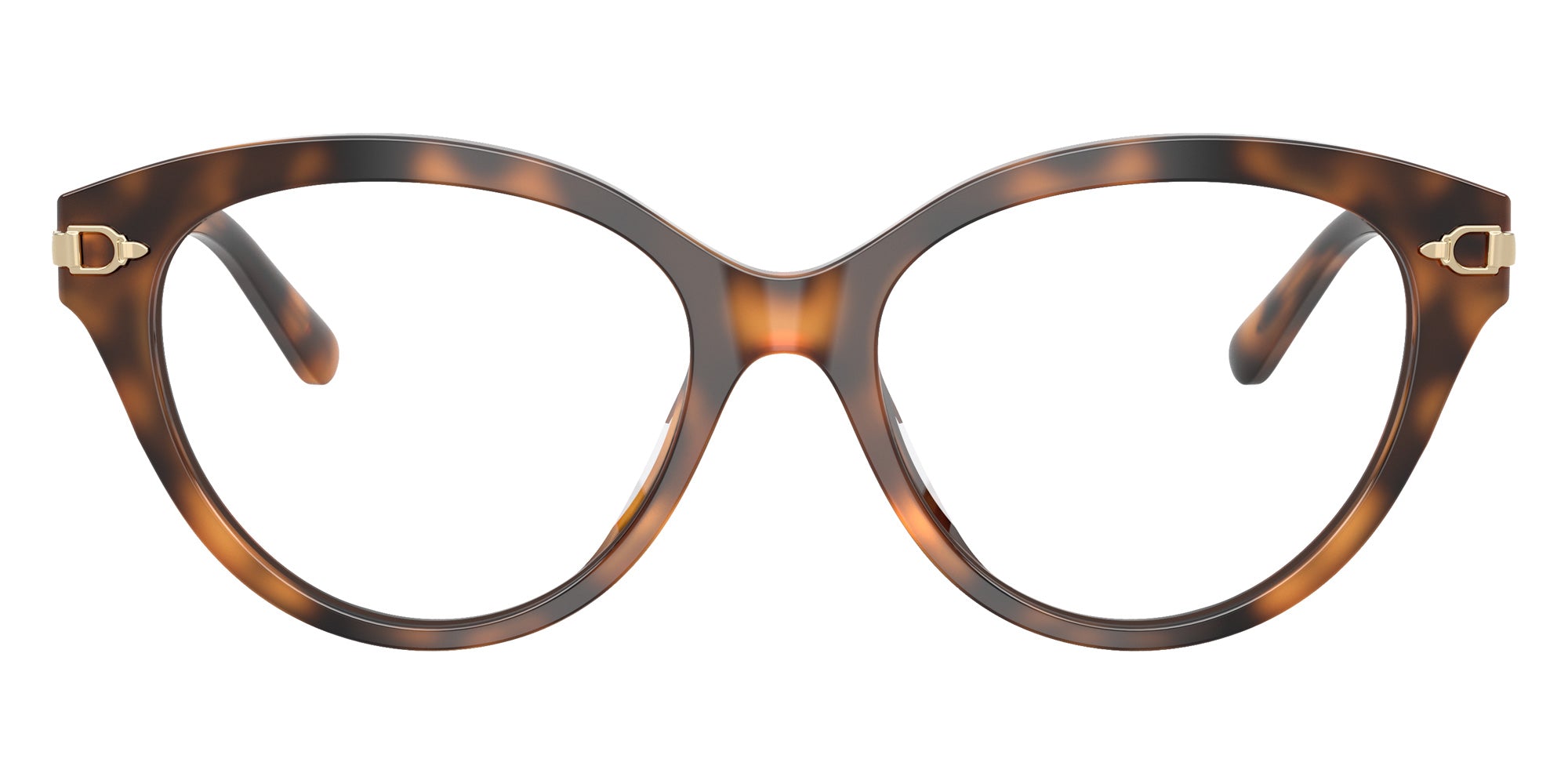 RALPH LAUREN RL6256U 6089 53 - Havana #id:rl6256u6089_s:102100