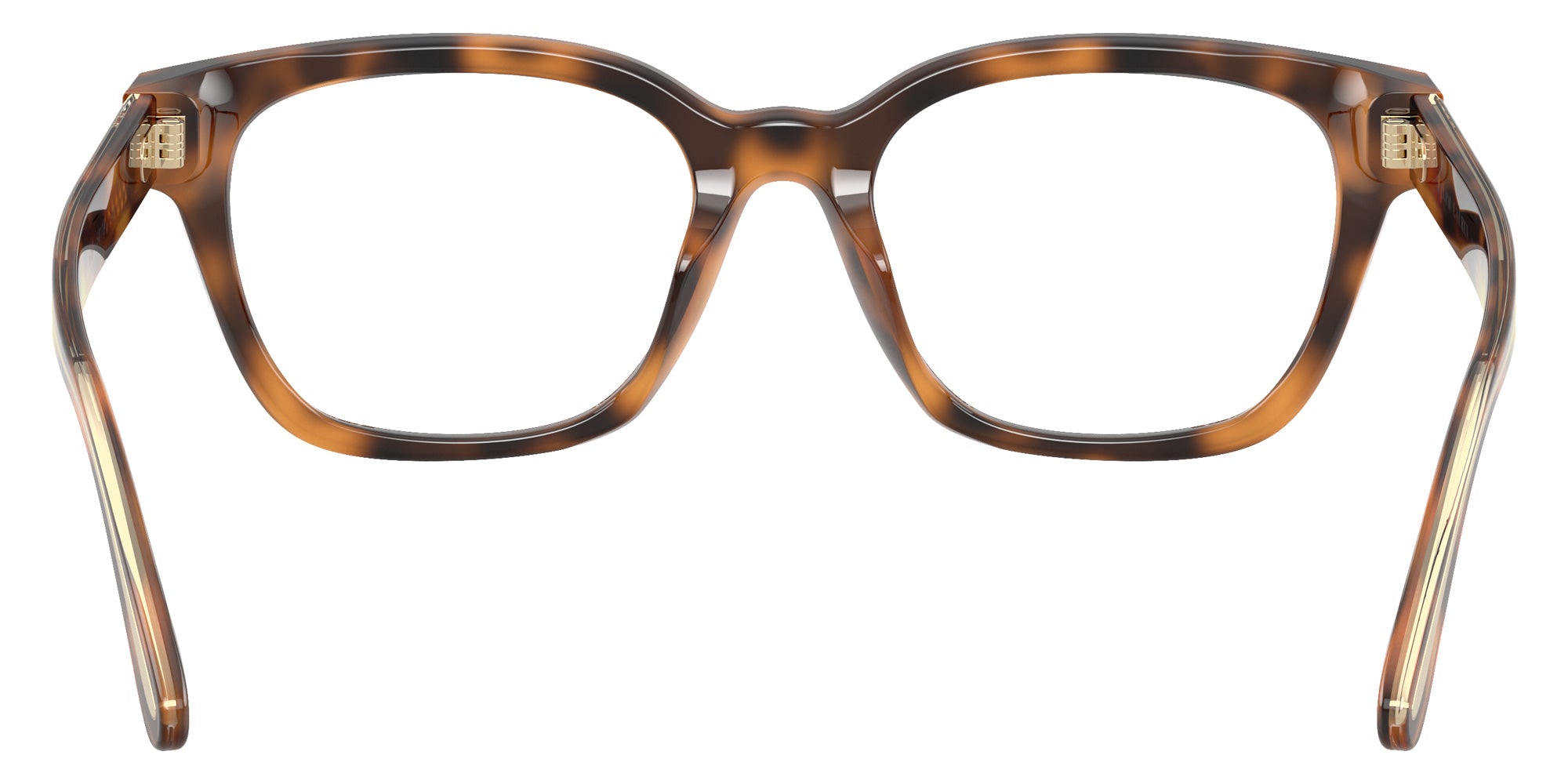 RALPH LAUREN RL6258U 6089 52 - Havana #id:rl6258u6089_s:102115