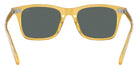 RALPH LAUREN RL8242U 50053R 54 - Shiny Opal Honey #id:rl8242u50053r_s:102115