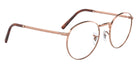 Ray-Ban RB3637V New Round 3094 50 - Rose Gold #id:rx3637v3094_s:104120