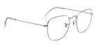 Ray-Ban RB3857V Frank 2501 51 - Silver #id:rx3857v2501_s:100120