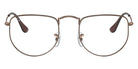 Ray-Ban RB3958V Elon 3120 50 - Bronze-Copper #id:rx3958v3120_s:100100