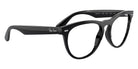 Ray-Ban RB4471V Iris 8192 51 - Black #id:rx4471v8192_s:100120