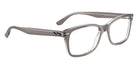 Ray-Ban RB5428 8111 53 - Transparent Gray #id:rx54288111_s:100120