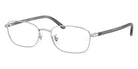 Ray-Ban RB6551D 2501 53 - Silver #id:rx6551d2501_s:100105
