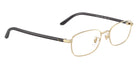 Ray-Ban RB6551D 2993 53 - Pale Gold #id:rx6551d2993_s:106120