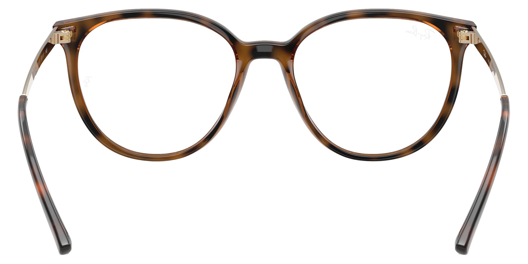 Ray-Ban RB7246L 2012 53 - Dark Havana #id:rx7246l2012_s:100115