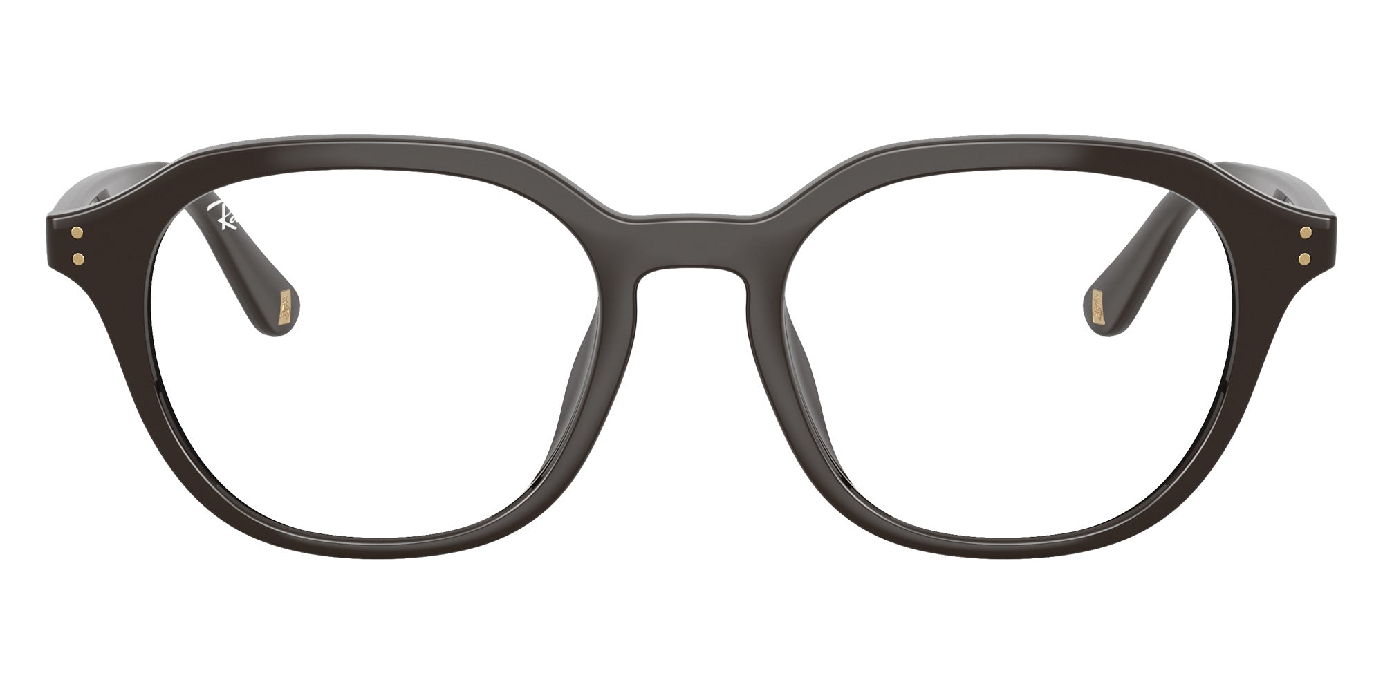 Ray-Ban RB7259D Year Of The Horse Edition 8493 52 - Full Dark Brown #id:rx7259d8493_s:100100