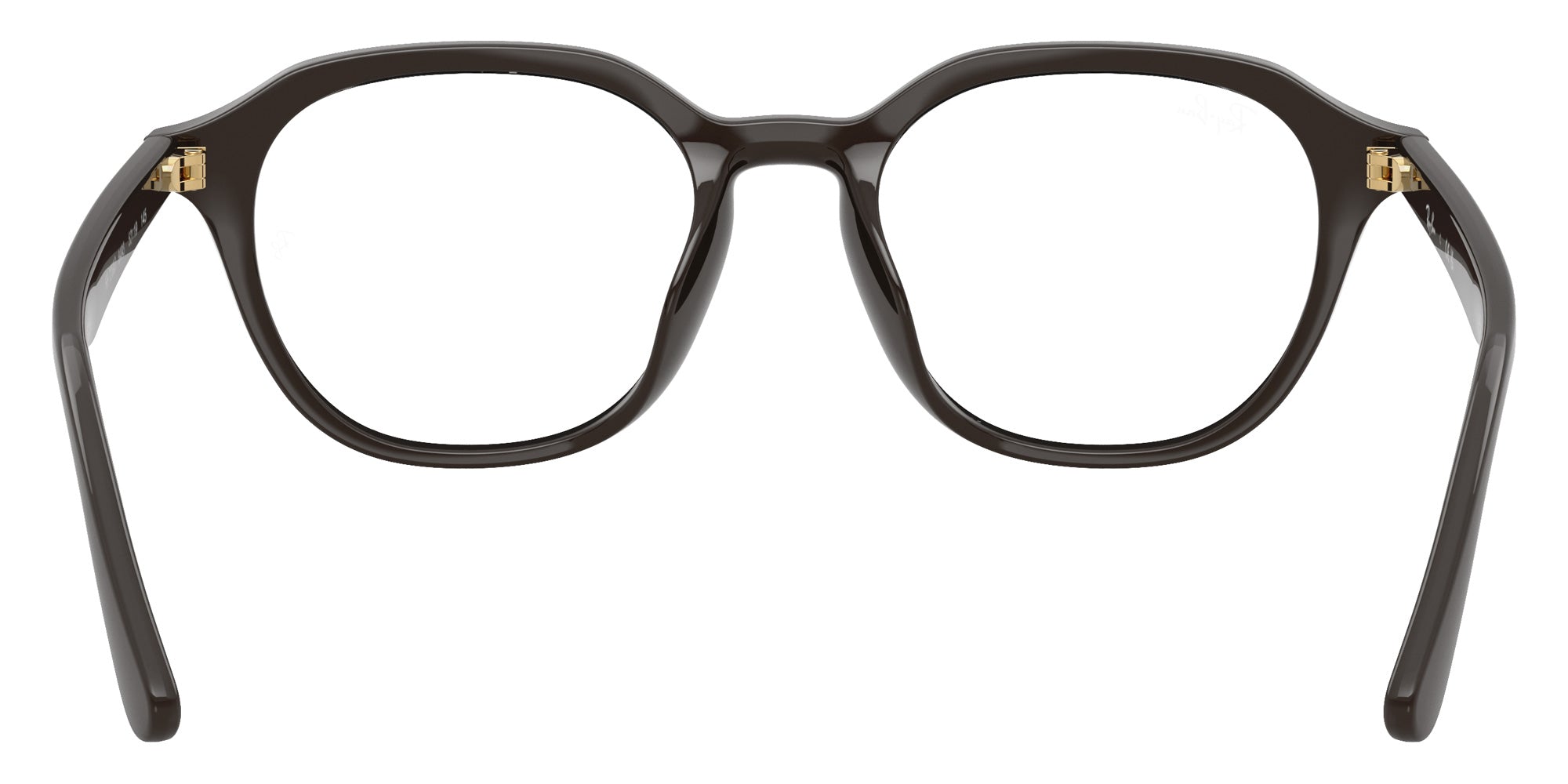 Ray-Ban RB7259D Year Of The Horse Edition 8493 52 - Full Dark Brown #id:rx7259d8493_s:100115