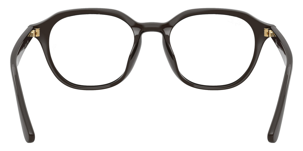 Ray-Ban RB7259D Year Of The Horse Edition 8493 52 - Full Dark Brown #id:rx7259d8493_s:100115