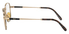 Ray-Ban RB8258V Frank II Titanium 1220 48 - Arista Gold #id:rx8258v1220_s:100110