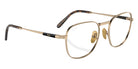 Ray-Ban RB8258V Frank II Titanium 1220 48 - Arista Gold #id:rx8258v1220_s:100120