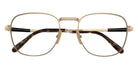 Ray-Ban RB8258V Frank II Titanium 1220 48 - Arista Gold #id:rx8258v1220_s:100125