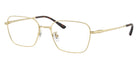 Ray-Ban RB8784D Titanium 1251 54 - Pale Gold #id:rx8784d1251_s:106105