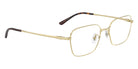 Ray-Ban RB8784D Titanium 1251 54 - Pale Gold #id:rx8784d1251_s:106120