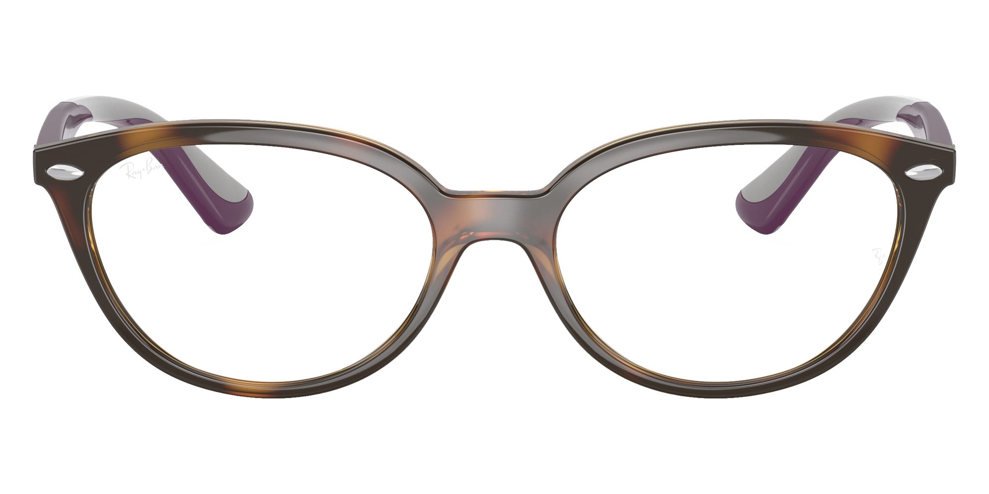 Ray-Ban RB1612 3904 48 - Havana #id:ry16123904_s:100100