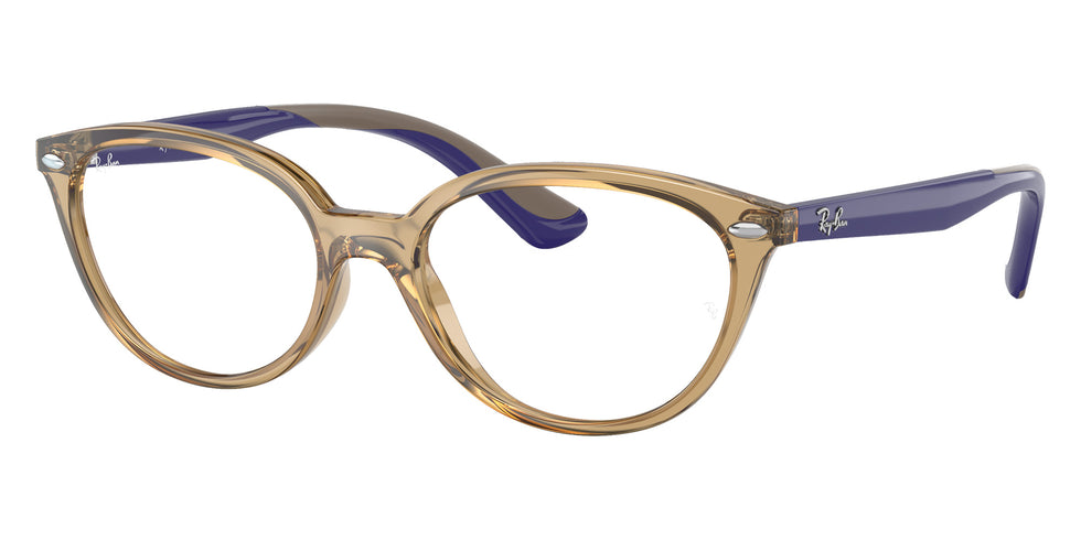 Ray-Ban RB1612 3905 48 - Transparent Light Brown #id:ry16123905_s:100105
