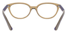 Ray-Ban RB1612 3905 48 - Transparent Light Brown #id:ry16123905_s:100115