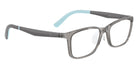 Ray-Ban RB1626D 3908 47 - Transparent Gray #id:ry1626d3908_s:104120