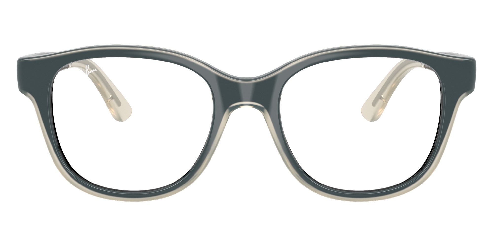 Ray-Ban RB1950 Bio-Based 7202 44 - Black on Transparent #id:ry19507202_s:100100