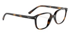Ray-Ban RB9093V Leonard 3685 43 - Havana #id:ry9093v3685_s:102120