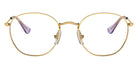 Ray-Ban RB9572V Rob 4091 46 - Arista Gold #id:ry9572v4091_s:100100