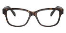 Swarovski SK2007F 1002 55 - Havana #id:sk2007f1002_s:102100