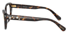 Swarovski SK2023 1002 54 - Dark Havana #id:sk20231002_s:100110