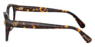 Swarovski SK2038F 1002 54 - Havana #id:sk2038f1002_s:102110