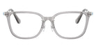 Swarovski SK2041D 1069 54 - Transparent Gray #id:sk2041d1069_s:104100