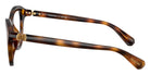 Swarovski SK2042U 1002 48 - Havana #id:sk2042u1002_s:104110