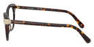Swarovski SK2046F 1002 53 - Havana #id:sk2046f1002_s:102110
