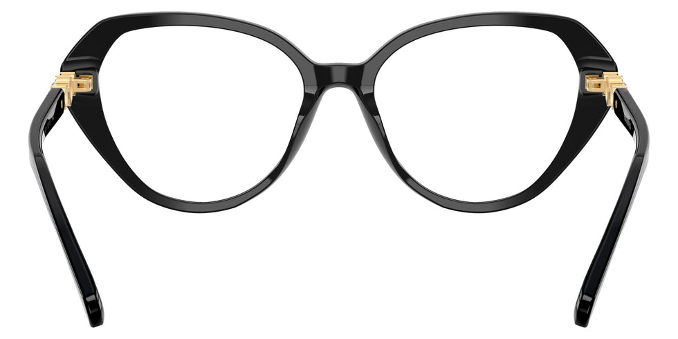 Swarovski SK2054 1001 53 - Black #id:sk20541001_s:100115