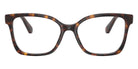 Swarovski SK2061F 1101 53 - Havana #id:sk2061f1101_s:104100
